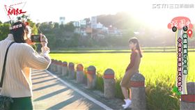 ▲ 網友提供來到三坑老街必吃阿香菜包，外皮用小米製作口感軟Ｑ。（圖／社群中心提供）