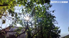 一看到難得暖陽，宜蘭民眾趕緊洗衣曬棉被。（圖／記者黃國瑞拍攝）