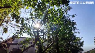 暖陽僅1天！「雨不停國」國民搶曬被