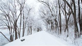 下雪,雪地（示意圖／翻攝自unsplash）
