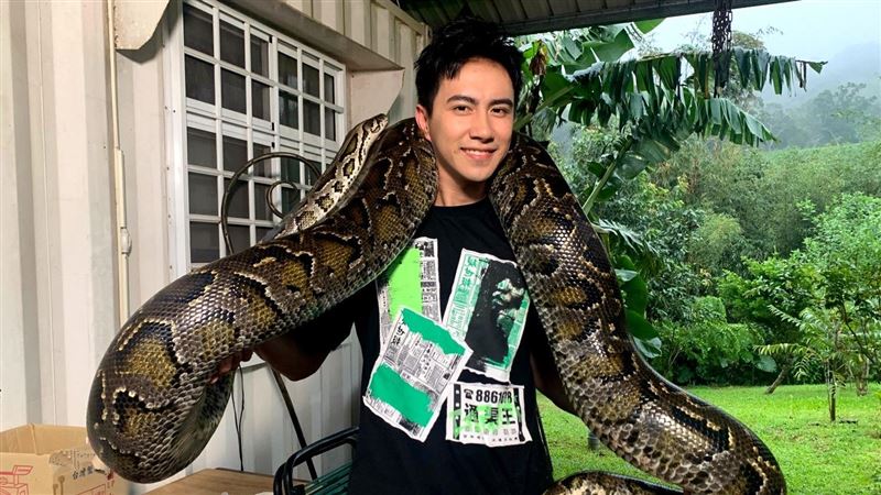 男星被巨蟒纏身　嚇到完全不敢深呼吸