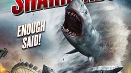 澳洲網友在自家後院驚見公牛鯊。（圖／翻攝自Timothee Morrison Dufour臉書）