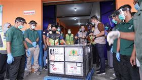 11隻小紅毛猩猩返回印尼印尼在18日以飛機運回11隻被捕獲、走私到泰國及馬來西亞的小紅毛猩猩。這些小紅毛猩猩被抓時都不到3歲。在原始棲息地，紅毛猩猩媽媽會把小孩帶到8、9歲後，才會讓牠們獨立生活。（印尼環境與森林部提供）中央社記者石秀娟雅加達傳真  109年12月19日