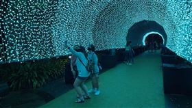 疫情衝擊 星濱海灣花園「耶誕仙境」規模縮減受到疫情影響，於新加坡濱海灣花園舉行的「耶誕仙境」規模縮減，圖為現場耶誕裝置藝術品之一的「寧靜小徑」。中央社記者侯姿瑩新加坡攝  109年12月19日