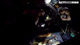 新北市，八里，大麻，淡水，豪宅，栽種