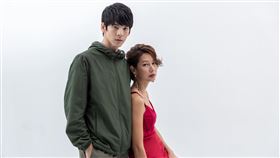 李沐、陳庭妮、林柏宏、丁寧/齊石傳播提供