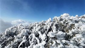 雪山主峰霧淞一片，冰封世界，山友驚艷。(圖／山友李先生 提供)