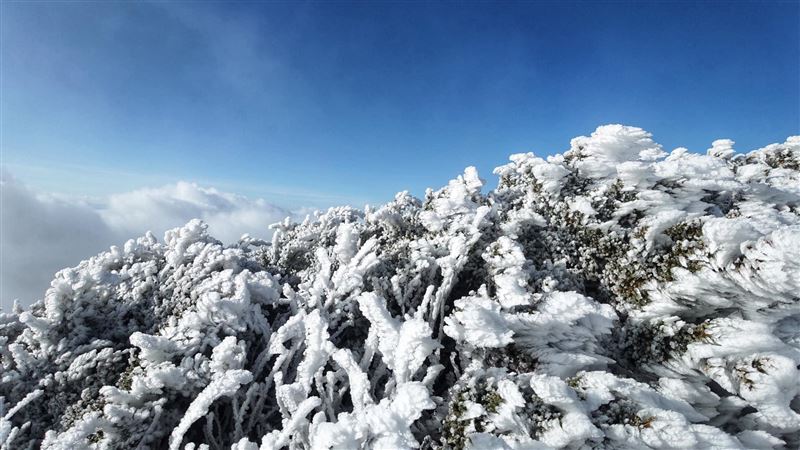 低溫濕冷持續到冬至　玉山初雪靠這波
