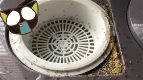 爆廢二館／飲水機遭螞蟻「塞蛋式」築巢！過來人揭1道具：沒在出現過。（圖／翻攝自爆廢公社二館）