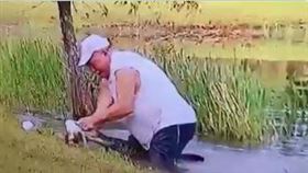 ▲老先生從鱷魚口中救愛犬。（圖／截取自推特影片）