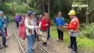 國旅阿里山亂象　83遊客闖鐵軌自拍