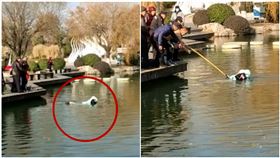 穿羽絨外套逛公園！她下秒摔進4米深湖　竟「浮起來」獲救（圖／翻攝自漩渦視頻）
