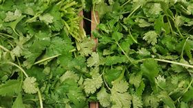 香菜(圖／翻攝自Pixabay)