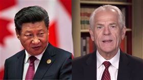 習近平、白宮貿易顧問納瓦羅（Peter Navarro）（組合圖／翻攝自新華網、Navarro推特）