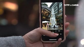 耶誕樹合照有撇步　攝影師親曝秘技