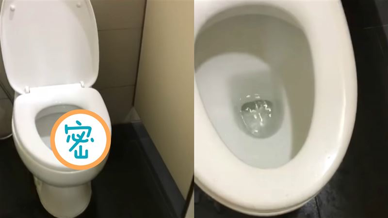 民宿馬桶驚見牠狂吐舌　1動作網嚇傻