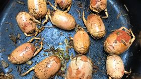 （圖／翻攝自爆廢公社二館）