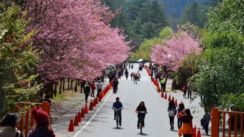 雄獅「開運走春」團開搶　保證有房住