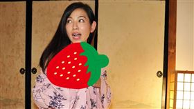 米可白,薛仕凌。（台視提供