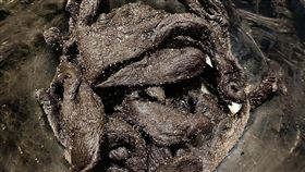 圖／翻攝自廚藝公社