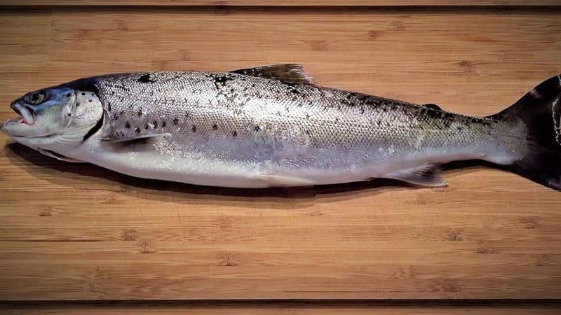 魚這部位超營養！專家嘆：大家都吃錯