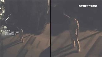 台中婦夜持「雙刀」狂敲門？真相曝光