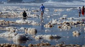 名家專用／草根影響力新視野（勿用）