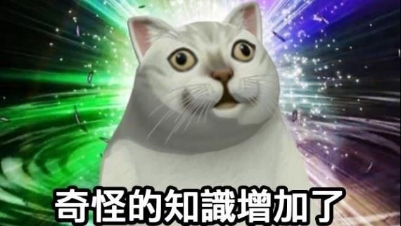 2020年爆紅流行語你懂幾個？