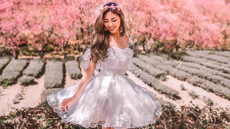 明年春天賞櫻去　旅行社搶推早鳥優惠