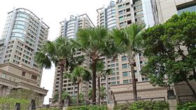 帝寶（記者陳弋攝影）