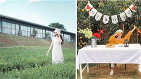 （圖／Tripbaa趣吧！達人帶路）