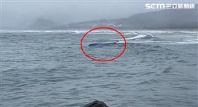 金山,舢舨,衝浪客,船員,翻船,