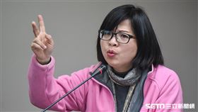 民進黨立委林淑芬於衛生及環境委員會質詢。 圖／資料照