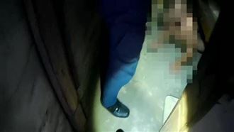 新／嘉義受刑人「想老婆」逃獄落網