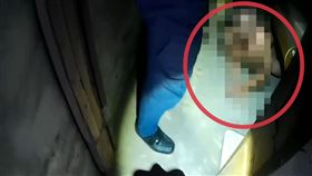 受刑人,假釋,逃獄,嘉義看守所,逃脫罪