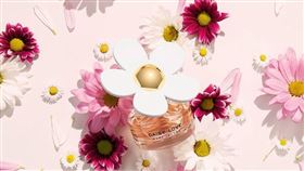 名家專用/ 女人瘋（勿用）