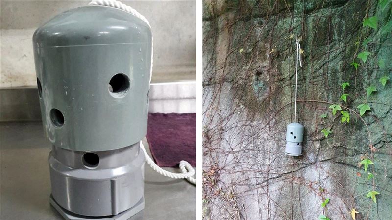 猜猜這是啥　台灣黑熊生日禮物有玄機
