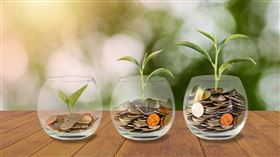 名家專用／Money錢（勿用）