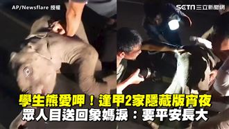 CPR搶救瀕死象　淚送牠回象媽身邊