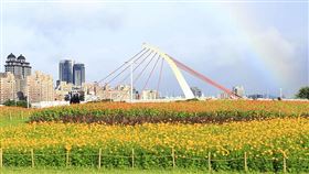 名家專用／台灣旅行趣（勿用）