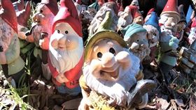 澳洲怪異又可愛的小矮人村　