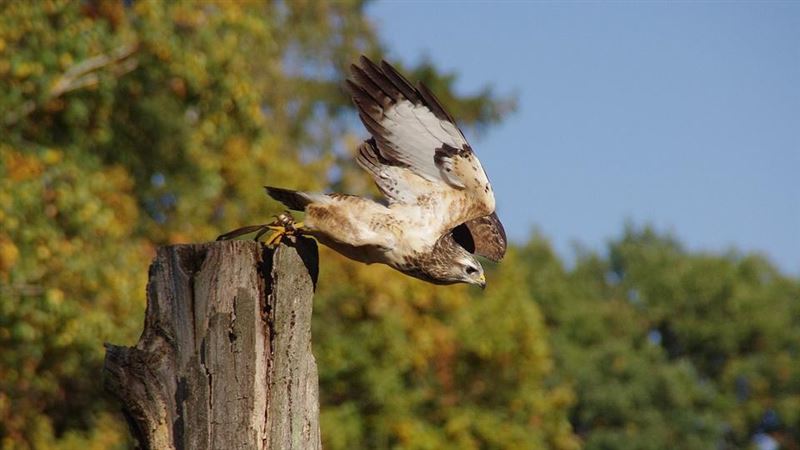 賞鳥見金光！男挖出千枚古幣賺3千萬