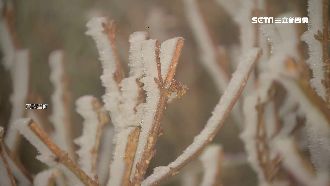 寒流襲跨年急凍5度　北部山區恐降雪
