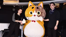 虛擬寵物貓RuRu醬/只有創意提供