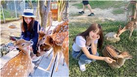 鹿羽松牧場,(圖／IG網友授權提供)