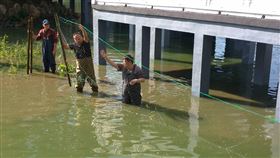 垃圾魚（圖／許書萓攝影）