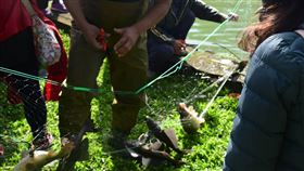 垃圾魚（圖／臺北市政府工務局公園處提供）