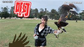 ▲頻道「怪女森」，邀請中華民國馴鷹協會會長，帶大家進一步
認識馴鷹。（圖／怪女森 授權）