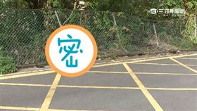 驚悚! 國中女遭流浪狗包圍 控