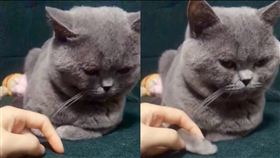 幫你暖手手（圖／翻攝自抖音1167819845）